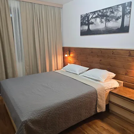 Belvedere K203 * バンスコ